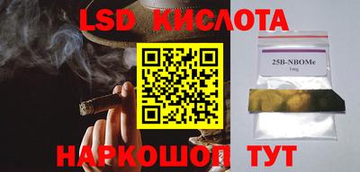 шишки Моздок