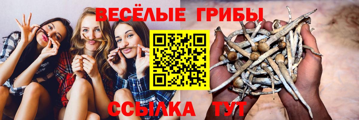 Галлюциногенные грибы ЛСД  Галлюциногенные грибы мухоморы  Тобольск  Вход с VPN 